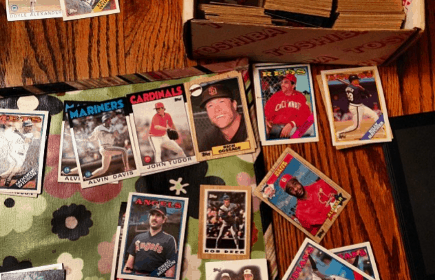 Whats-the-Point-of-Baseball-Cards