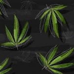 images (5)
